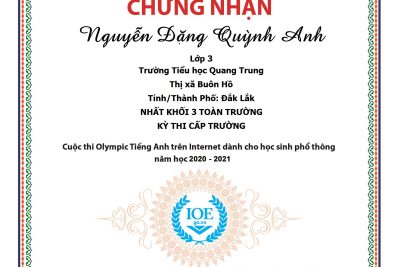 TOP VINH DANH HỌC SINH CÓ ĐIỂM THI CAO NHẤT CỦA MỖI KHỐI CỦA TRƯỜNG TRONG CUỘC THI IOE NĂM HỌC 2020-2021